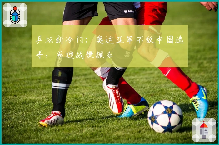 乒坛新冷门：奥运亚军不敌中国选手，或迎战樊振东