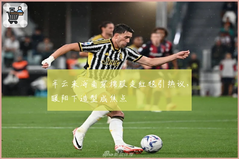 辛云来海南穿棉服走红毯引热议，暖阳下造型成焦点